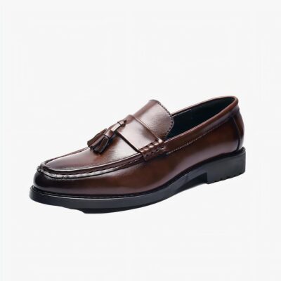 Mocassins marron à gland sur fond blanc